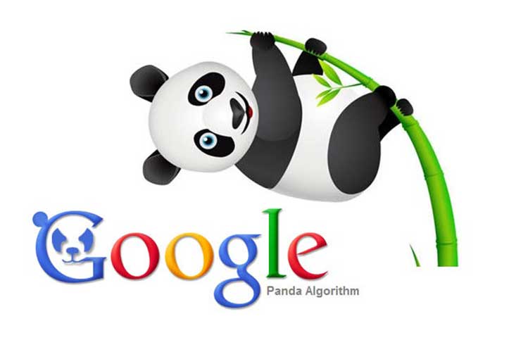 الگوریتم پاندا (Panda Algorithm) | الگوریتم های گوگل | وب فهم