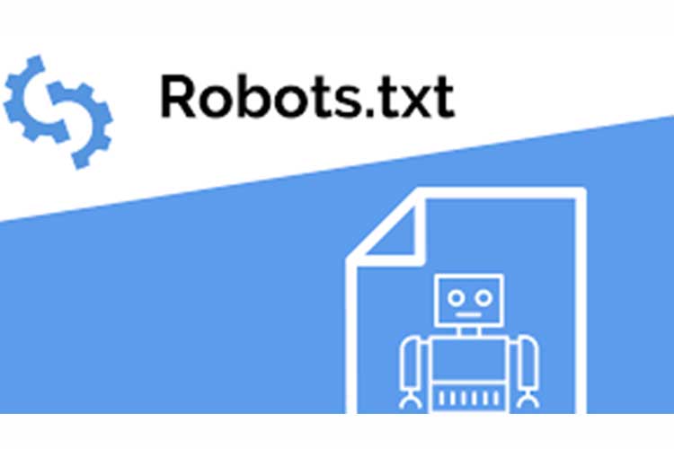 فایل Robots.txt چیست؟ | چه تاثیری روی سئو دارد؟