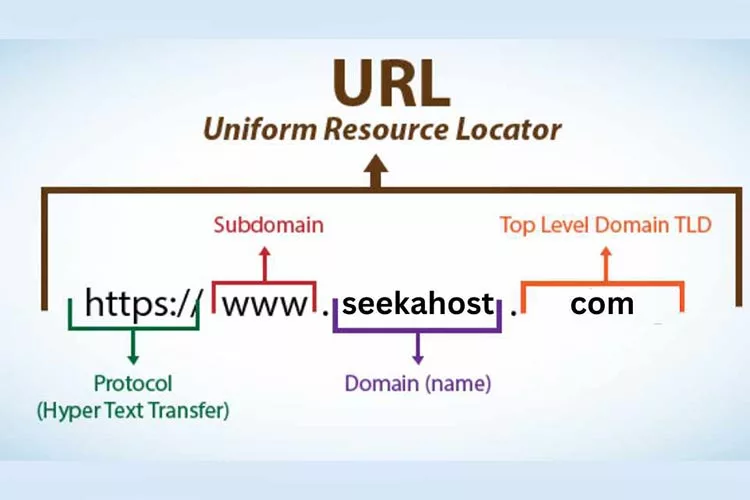 بخش‌های Domain چیست؟ | نام دامنه و پسوند | وب فهم