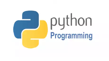 زبان برنامه نویسی اپلیکیشن / Python (پایتون) | وب فهم